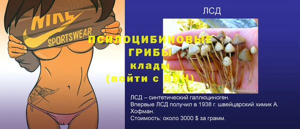 мяу мяу мука Арсеньев