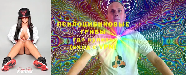 прущие крисы Аркадак