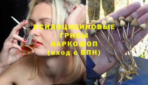 мяу мяу мука Арсеньев